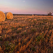 Texas Hay Field 3 Art Print