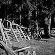 The Fence Line At Fort Nisqually Art Print