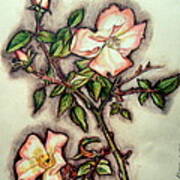 The Wild Rose Art Print