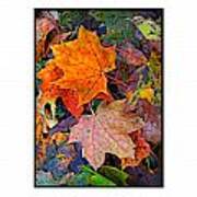 The Ying Yang Of Fall Art Print