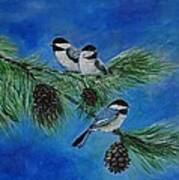 Three Sweet Chickadees Art Print