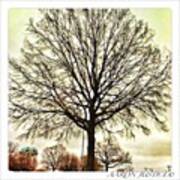 #tree #beautiful #instagram #instahub Art Print