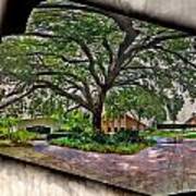 Tree In Church Yard - 2 Art Print