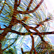 Tree Swirls Art Print
