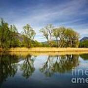Trees Reflections On The Lake Art Print