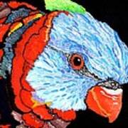 Tropical Bird Blazing Art Print