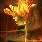 Tulip In Movement Art Print