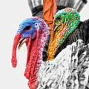 Turkeys Delight Art Print