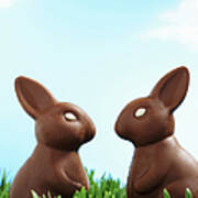 Two Chocolate Easter Bunnies Facing Each Other In Grass, Side View Art Print