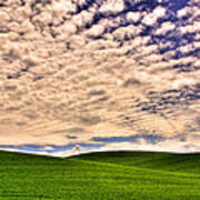 Wheat Field In The Palouse Art Print