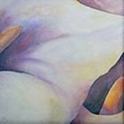 White Calla Lily I Art Print