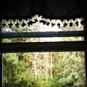 #window #trees #curtain Art Print