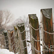 Winter Fence Art Print