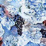 Winter Grapes Iii Art Print