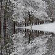 Winter Reflection Art Print