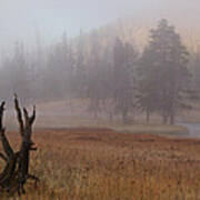 Yellowstone At Dawn Art Print