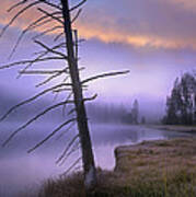 Yellowstone Lake Yellowstone National Art Print