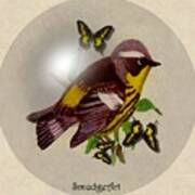 Magnolia Warbler Art Print