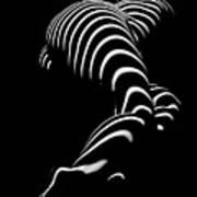 0774-ar Zebra Striped Figure Of A Large Woman Fine Art Photograph By Chris Maher Art Print