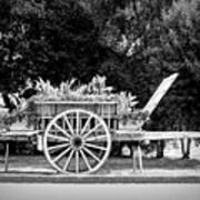 A Little Flower Wagon - Normandy, France #1 Art Print