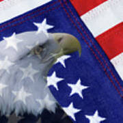 American Flag And Bald Eagle #1 Art Print