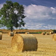 Autumn Hay Bales #1 Art Print