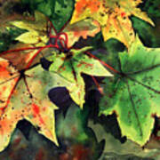 Autumn Leaves #1 Art Print