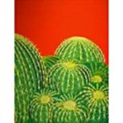 Barrel Cactus #1 Art Print