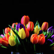 Colorful Tulips #1 Art Print