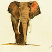 Elephant Watercolor #1 Art Print