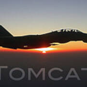 F-14 Tomcat #1 Art Print