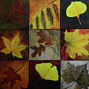 Fall Leaves #2 Art Print