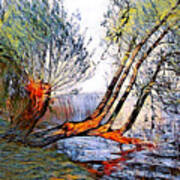 Fallen Tree #1 Art Print