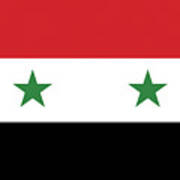 Flag Of Syria  #1 Art Print