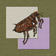 Flea On Abstract Beige Lavender And Dark Khaki #1 Art Print
