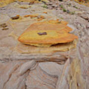 Gold Nugget In Valley Of Fire #1 Art Print