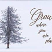 Grow Where You Are Planted #1 Art Print