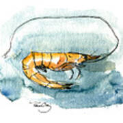 Gulf Shrimp Art Print