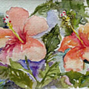 Hibiscus #1 Art Print