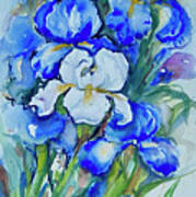 Irises #1 Art Print