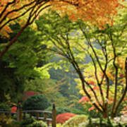 Moon Bridge Surrounded By Autumn Foliage At Portland Japanese Garden Art Print
