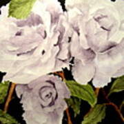 Lavender Roses #1 Art Print
