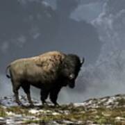 Lonely Bison #1 Art Print
