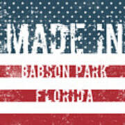 Made In Babson Park, Florida #1 Art Print