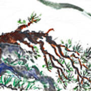 Mountain Pine #1 Art Print