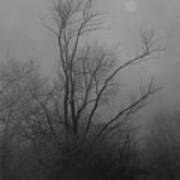 Nebelbild 13 - Fog Image 13 #1 Art Print