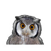 Owl #1 Art Print