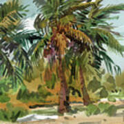 Palms In Key West Art Print