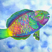 Parrotfish Art Print