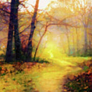 Path In The Woods #1 Art Print